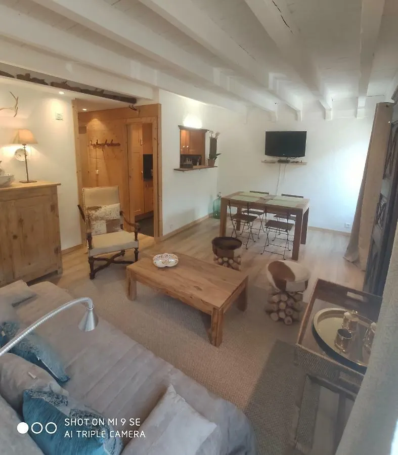 Chez Rosine Apartment Saint-Sauveur-sur-Tinee